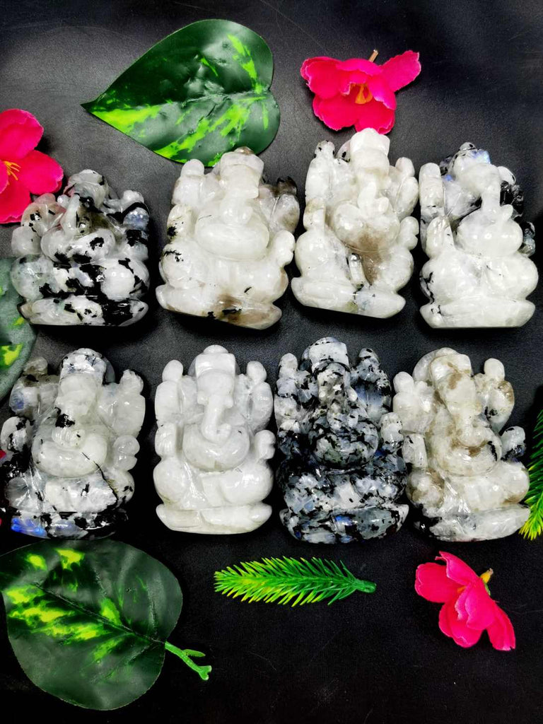 The Mystery of Moonstone: Why This Gem Shines in Shades of White and Black | Shwasam Crystals