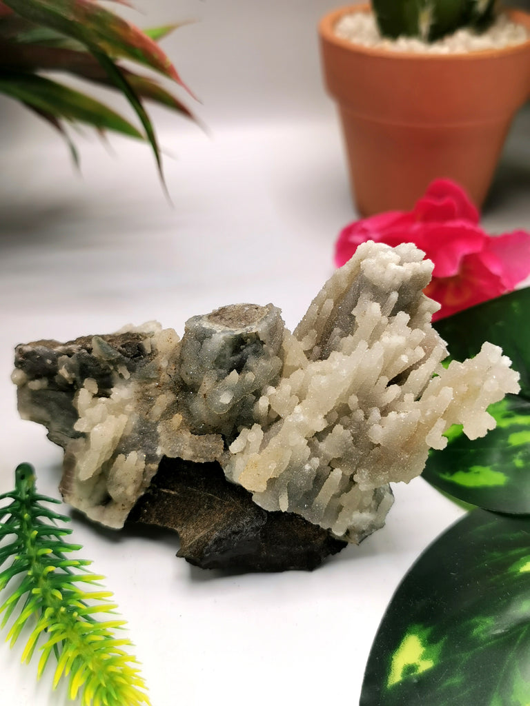Mountain Coral Mineral Crystal Natural Free Form - Earth's Timeless Tapestry