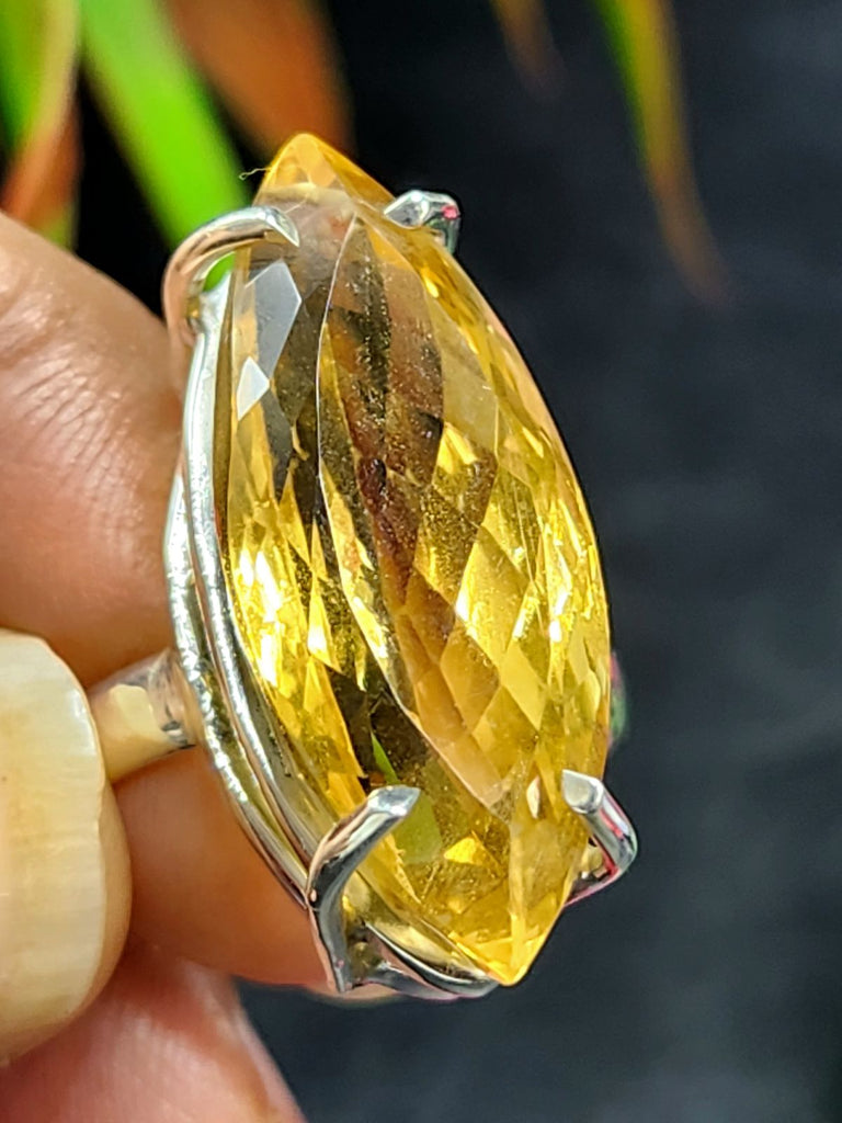 Citrine: The Merchant’s Stone for Wealth, Happiness & Spiritual Growth | 7 Powerful Ways to Transform Your Home Energy | Shwasam Crystals