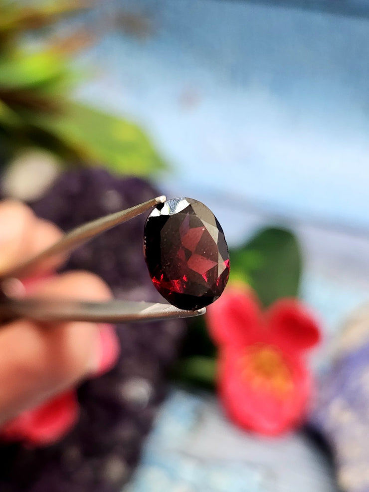 The Rise of Red Garnet in Fashion and Corporate Culture: Symbolism, Market Trends, and Why Young Professionals Love This Courage-Boosting Stone | Shwasam Crystals