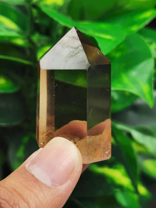 The Sensitive Soul’s Guide to Creating a Stress-Free Home with Crystal Carvings | Shwasam Crystals