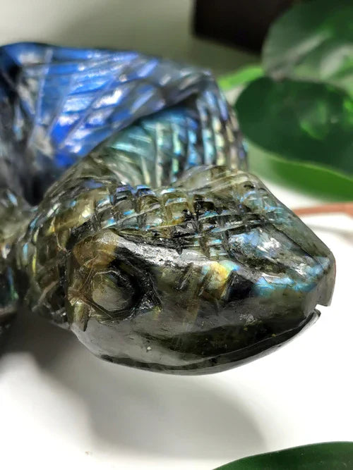 How Labradorite Protects You: Snake Symbolism, Healing Benefits and Energy Shield Explained | Shwasam Crystals