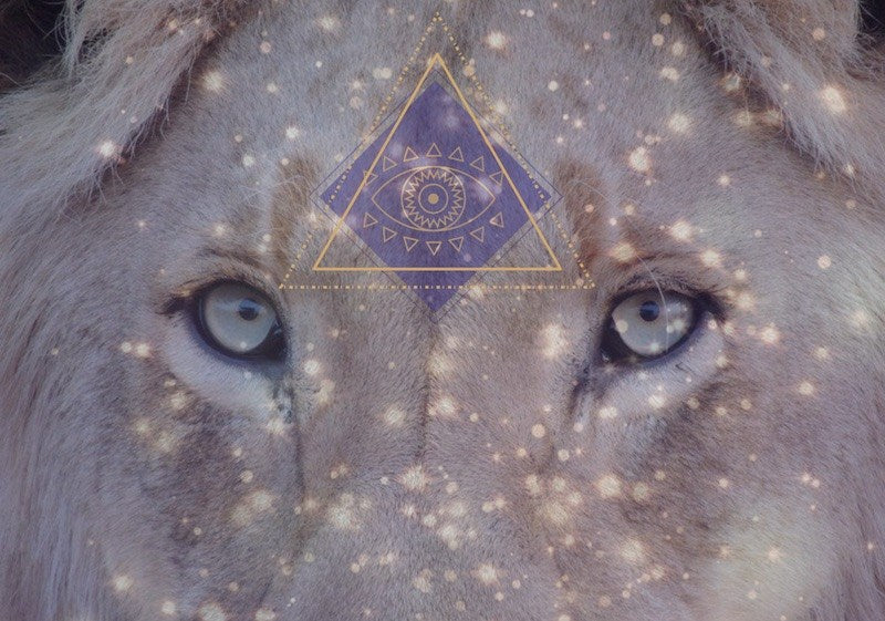 8/8 Lions Gate Portal: How to Manifest Success, Peace & Positivity | Shwasam Crystals