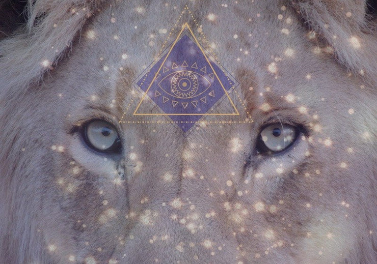 8/8 Lions Gate Portal: How to Manifest Success, Peace & Positivity | Shwasam Crystals