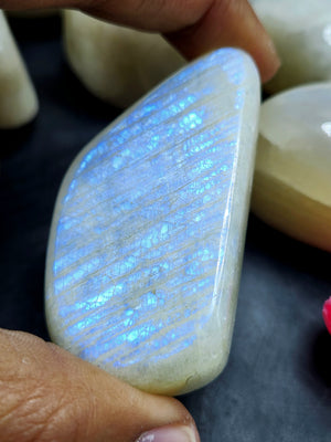 Moonstone Free Forms Lot of 8 with Blue Flash: A Dance of Celestial Elegance | Gemstone healing | Gift a gemstone