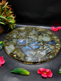 Flashy Labradorite Big Plate Coated with Resin: An Ode to Mystical Splendor | Crystal Healing | Reiki | Crystal Plate