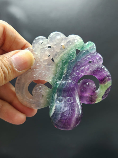 Multi Fluorite Octopus - Nature's Living Kaleidoscope - Animal carving