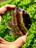 Multi Fluorite Unicorn - A Symbol of Balance and Positivity - Animal carving