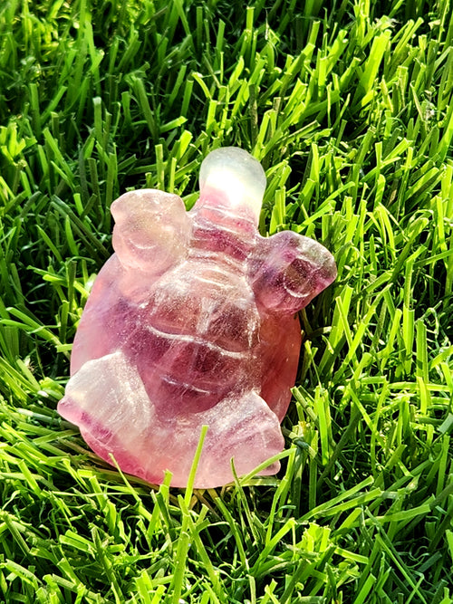 Candy Fluorite Turtle Carving - Embracing Tranquility and Motivation - Animal carving