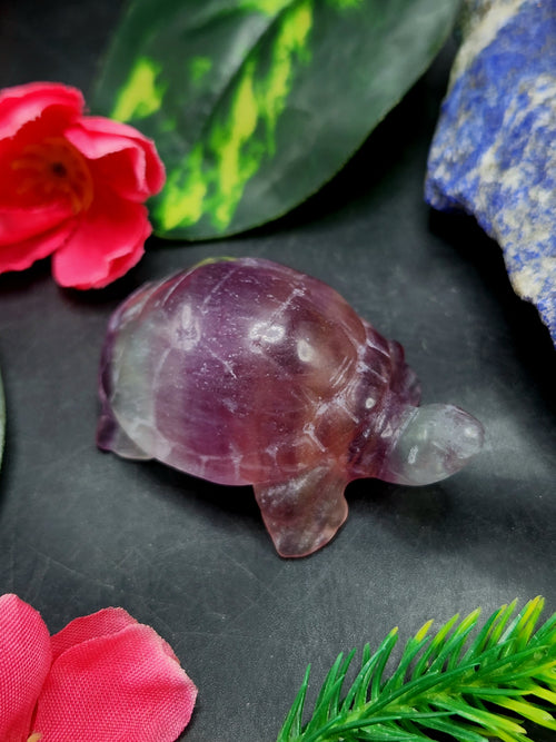 Candy Fluorite Turtle Carving - Embracing Tranquility and Motivation - Animal carving