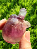 Candy Fluorite Turtle Carving - Embracing Tranquility and Motivation - Animal carving