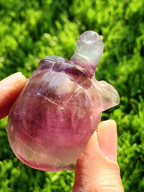 Candy Fluorite Turtle Carving - Embracing Tranquility and Motivation - Animal carving