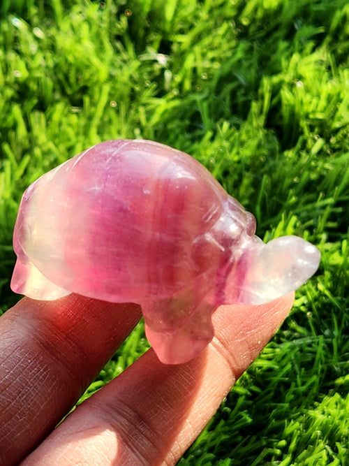 Candy Fluorite Turtle Carving - Embracing Tranquility and Motivation - Animal carving