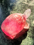 Candy Fluorite Turtle Carving - Embracing Tranquility and Motivation - Animal carving