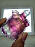 Candy Fluorite Turtle Carving - Embracing Tranquility and Motivation - Animal carving