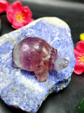 Candy Fluorite Turtle Carving - Embracing Tranquility and Motivation - Animal carving