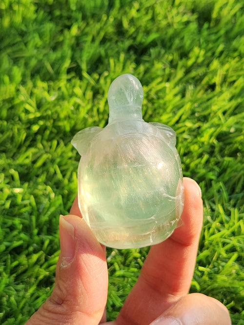 Candy Fluorite carving of Turtle  - Balancing Calm and Inspiration - Animal carving