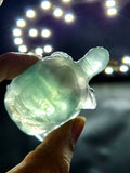 Candy Fluorite carving of Turtle  - Balancing Calm and Inspiration - Animal carving