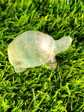 Candy Fluorite carving of Turtle  - Balancing Calm and Inspiration - Animal carving