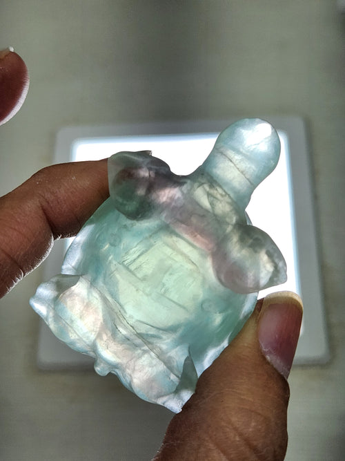 Candy Fluorite carving of Turtle  - Balancing Calm and Inspiration - Animal carving