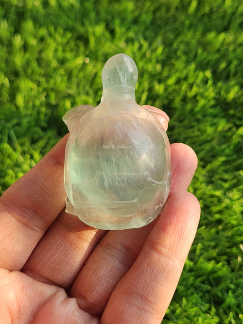 Candy Fluorite carving of Turtle  - Balancing Calm and Inspiration - Animal carving