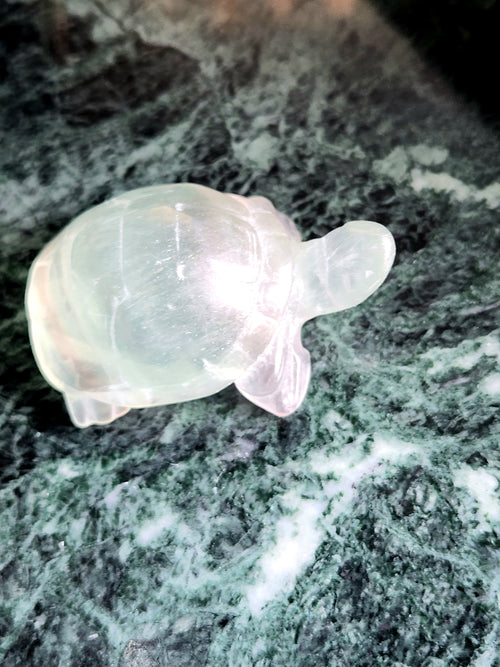 Candy Fluorite carving of Turtle  - Balancing Calm and Inspiration - Animal carving
