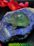 Candy Fluorite carving of Turtle  - Balancing Calm and Inspiration - Animal carving