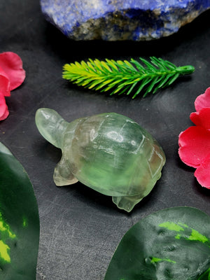 Candy Fluorite carving of Turtle  - Balancing Calm and Inspiration - Animal carving