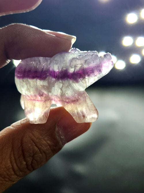 Multi Fluorite Bear Carving - Channeling Balance and Protection - Animal carving