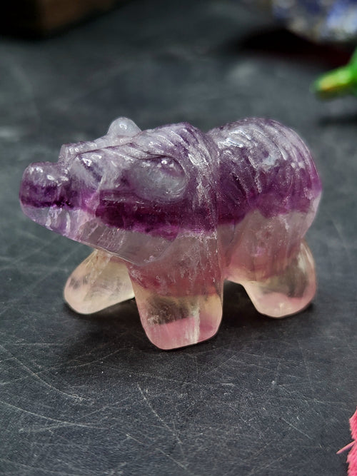 Multi Fluorite Bear Carving - Channeling Balance and Protection - Animal carving