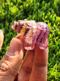 Multi Fluorite Bear - Channeling Balance and Protection -  Animal carving