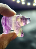 Multi Fluorite Bear - Channeling Balance and Protection -  Animal carving