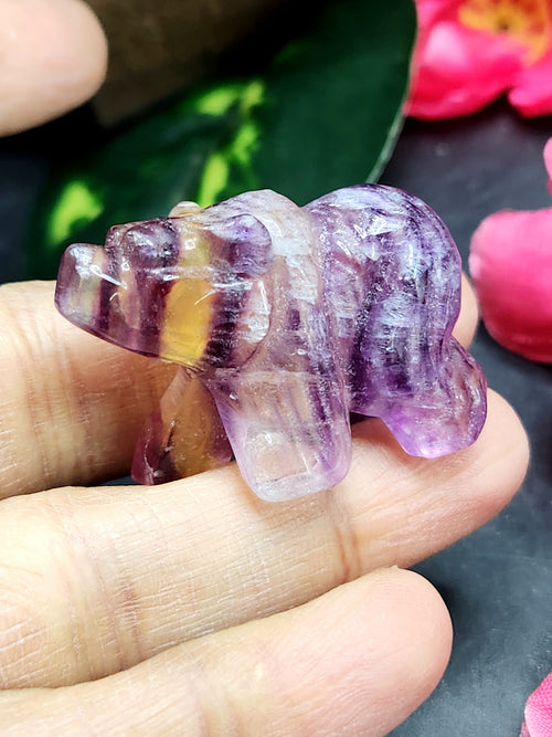 Multi Fluorite Bear - Channeling Balance and Protection -  Animal carving