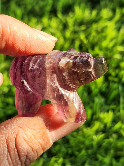 Multi Fluorite Bear - Channeling Balance and Protection -  Animal carving