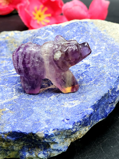 Multi Fluorite Bear - Channeling Balance and Protection -  Animal carving