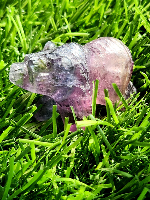 Multi Fluorite Bear Carving - Harmonious Whimsy & Tranquil Guardian | Animal carving | Home Decor