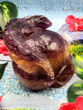 Candy Purple Fluorite Skull with Chameleon Head - Harmonizing Energies & Enhancing Spaces for Well-Being