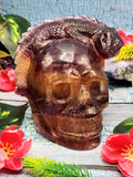 Candy Purple Fluorite Skull with Chameleon Head - Harmonizing Energies & Enhancing Spaces for Well-Being
