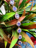 Tanzanite Bracelet in 925 Silver with Pink Gold Rhodium Plating and CZ Embellishments - A Harmonious Symphony of Rarity and Elegance