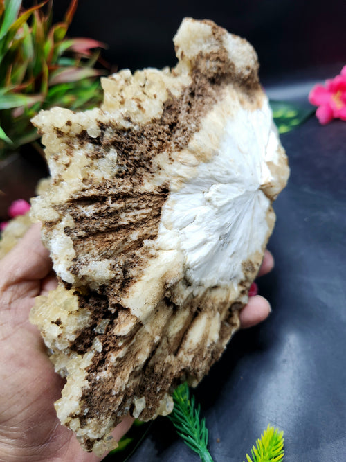Yellow Calcite Mineral Specimen - The Radiant Sunstone of Inner Joy and Vitality | Reiki/Energy/Chakra/Healing | Lot of 2