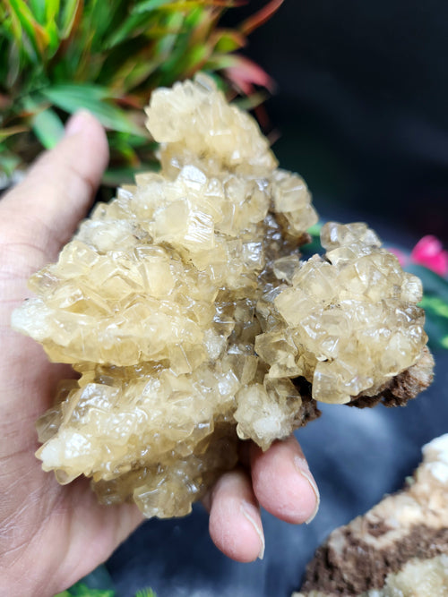 Yellow Calcite Mineral Specimen - The Radiant Sunstone of Inner Joy and Vitality | Reiki/Energy/Chakra/Healing | Lot of 2