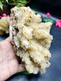 Yellow Calcite Mineral Specimen - The Radiant Sunstone of Inner Joy and Vitality | Reiki/Energy/Chakra/Healing | Lot of 2