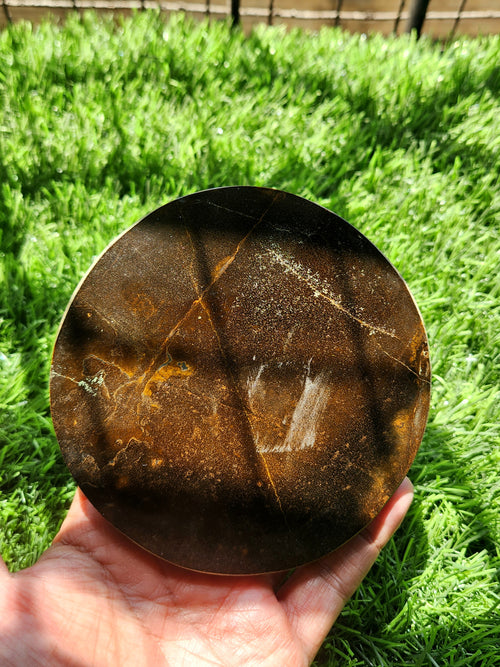 Tiger Eye Coasters - Radiate Prosperity and Protection | Set of 2 | Home Decor