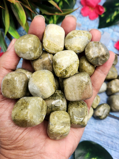 Vessonite Tumbles - Nurturing the Soul and Illuminating the Path | Crystal | Gemstone | Reiki | Chakra Healing | Lot of 34 pieces