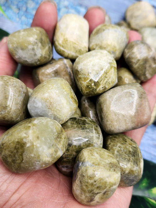 Vessonite Tumbles - Nurturing the Soul and Illuminating the Path | Crystal | Gemstone | Reiki | Chakra Healing | Lot of 34 pieces