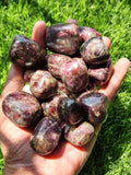Rubellite Tumbles - Embark on a Journey of Passion and Empowerment | Lot of 19 pieces