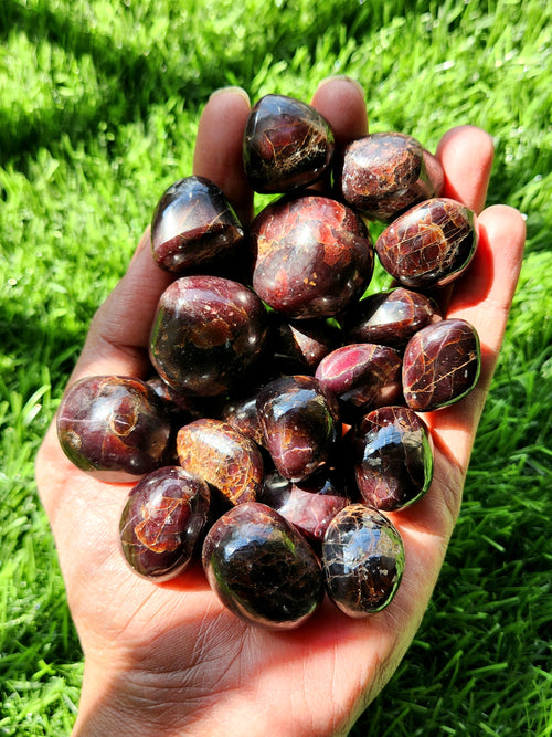 Hessonite Garnet Tumbles - A Gateway to Protection, Healing and Spiritual Evolution | Lot of 20 pieces | Home Decor