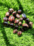 Hessonite Garnet Tumbles - A Gateway to Protection, Healing and Spiritual Evolution | Lot of 20 pieces | Home Decor