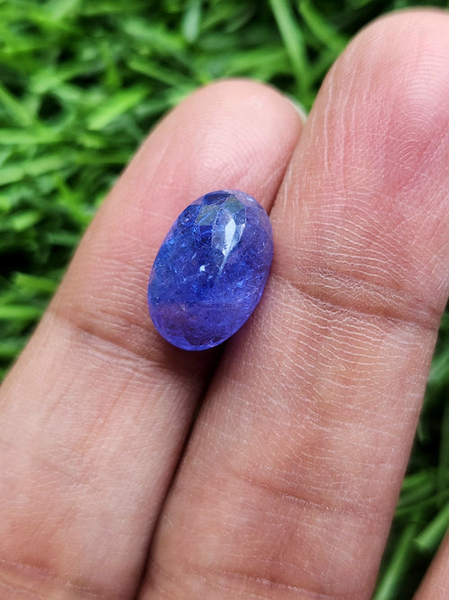 Tanzanite Faceted Loose Gemstone in Oval Shaped – A Perfect Choice for Jewelry & Success | Weighing 7 carats