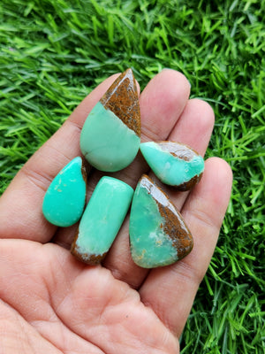 Chrysoprase cabochon mix shaped loose gemstones - Brilliance Beyond Beauty shape | Lot of 5 units